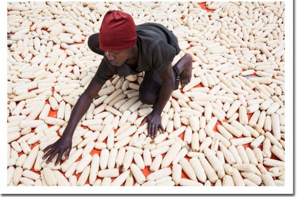 Rwanda tightens rules on food safety