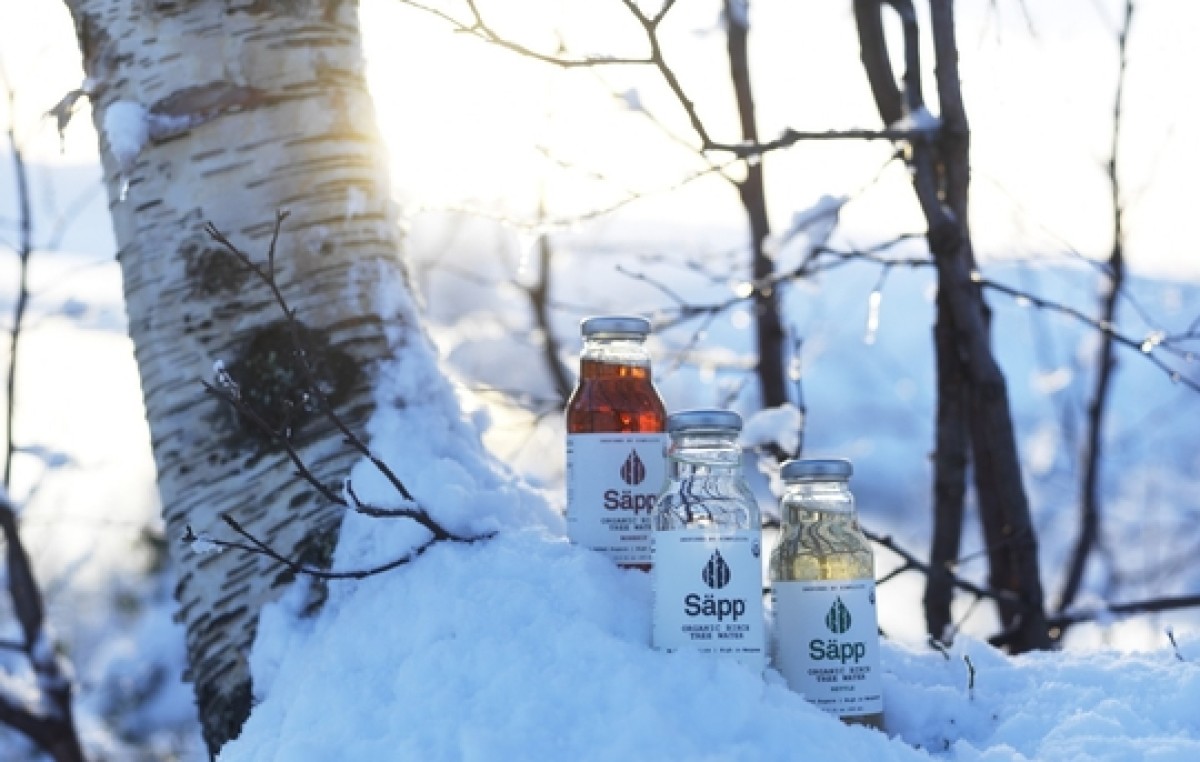 Säpp – introducing birch water to the global markets