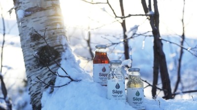 Säpp – introducing birch water to the global markets