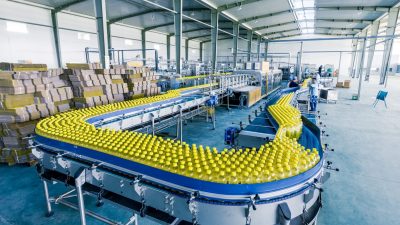 Food and beverage industry set to grow worldwide